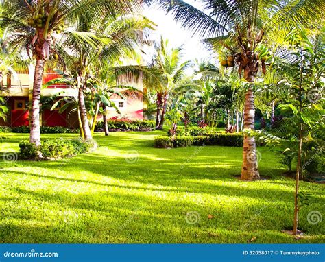 Tropical Escape stock image. Image of green, relaxing - 32058017