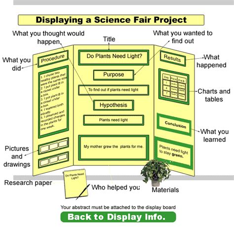 Franklin Montessori Schools Science Fair Display Board Example Science