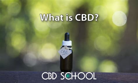 What Is Cbd Cannabidiol All You Need To Know And More