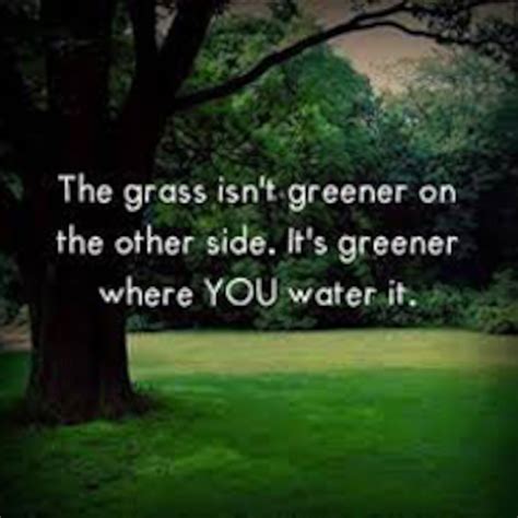 Is The Grass Greener On The Other Side Blogpapi