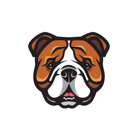 Bulldog Logo Illustrations Royalty Free Vector Graphics And Clip Art