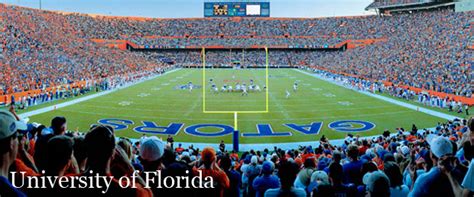 This gator is made from reused bottle caps, cardboard, and resin. University of Florida - Sports Management Degrees - Search ...