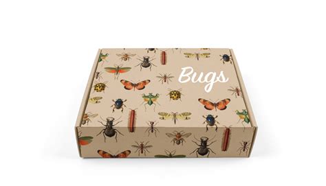 Bugs Png Hd Images Png Play