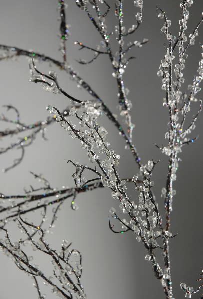 Make Them Wonder How To Make Iced Branches