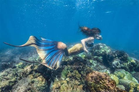 A Real Life Mermaid Who Swims With Sharks Using Her Fish Tail And Holds