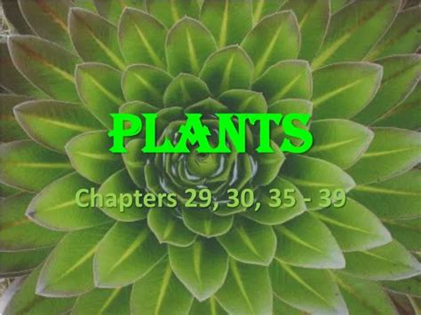 Ppt Plants Powerpoint Presentation Free Download Id2055706