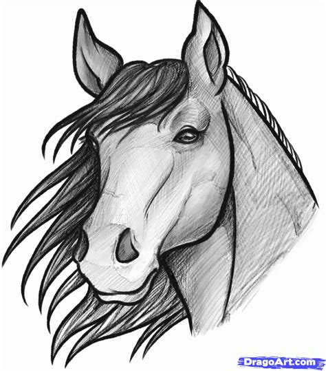 How To Sketch A Horse Step By Step Sketch Drawing Technique Free