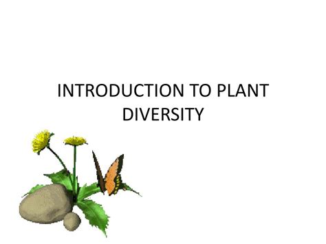 Ppt Introduction To Plant Diversity Powerpoint Presentation Free