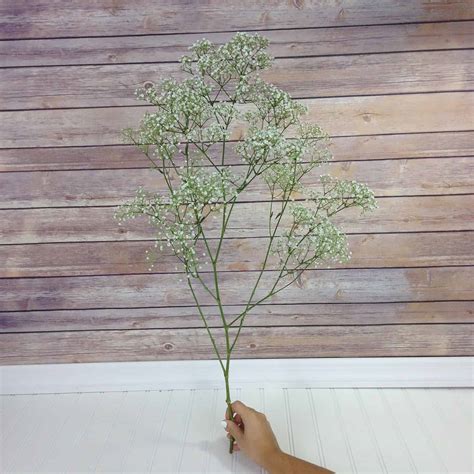 How much baby's breath do I need?