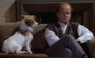 The dog's fur had turned snow white and he was almost completely. Hilarious Jack Russell Goes Crazy with Excitement at ...