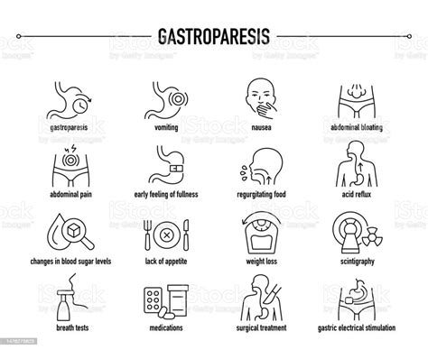 Gastroparesis Vector Icon Set Line Editable Medical Icons Stock