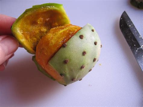 Will i buy it again? How to Peel Prickly Pears