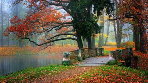 Autumn Tree Leaves Beauty Nature Landscape Lake Bridge Wallpaper