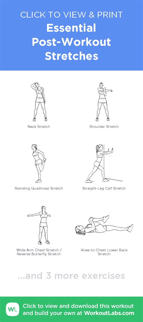 Essential Post Workout Stretches Click To View And Print This