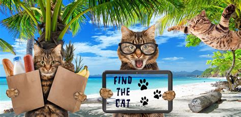 New Find The Cat Free Android Game Mod Db