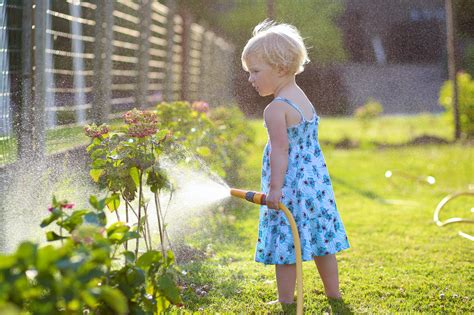 Make sure you're getting coverage over your entire lawn. Simple Watering Lawn & Gardening Solutions That Save