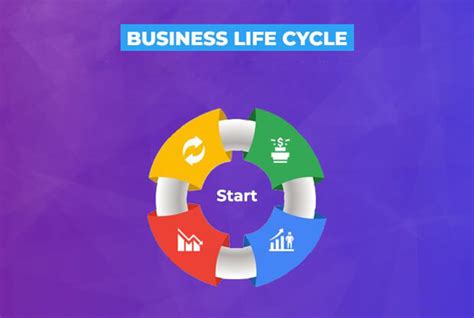 5 Stage Of Business Life Cycle A Beginners Guide
