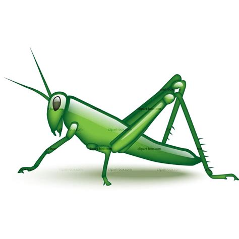 Cartoon Image Of Grasshopper Cute And Fun Illustrations