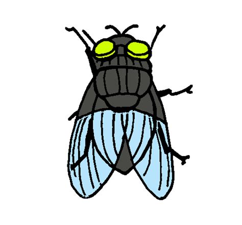 dibujo de mosca negra pintado por mosca en dibujosnet el