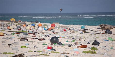 Siamo In Un Mare Di Plastica Milioni Di Cotton Fioc Sulle Spiagge Italiane Lifegate