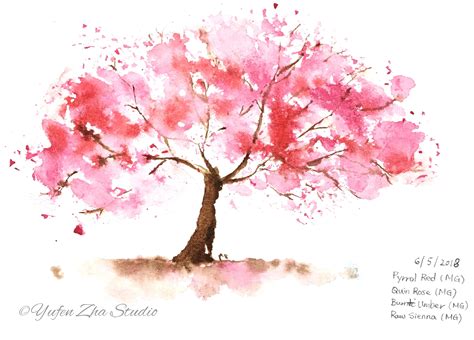 Cherry Blossom Tree Painting Watercolor