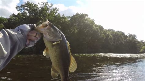 July 2017 Mississippi River fishing trip - YouTube