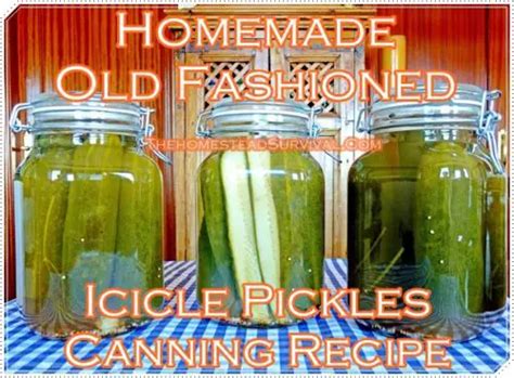 Homemade Old Fashioned Icicle Pickles Canning Recipe The Homestead