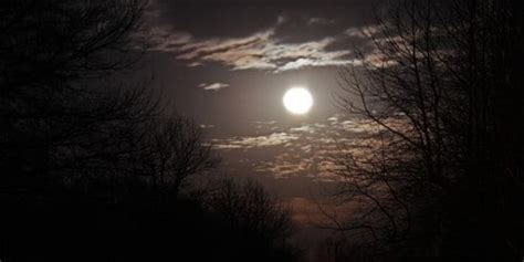 Moonlight Night Sky