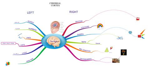 The Brain Imindmap Mind Map Template Biggerplate