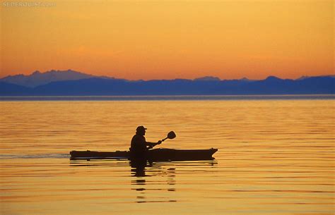 Kayaker On Frederick Sound Alaska Betty Sederquist Photography