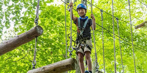 Treetop Trekking In Stouffville: Family Adventure For All Ages ...