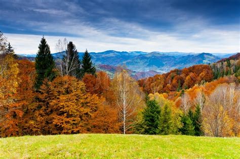 The Mountain Autumn Landscape With Stock Image Colourbox