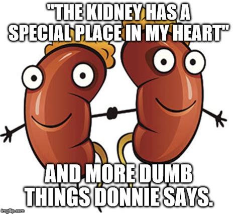 Kidneys Imgflip