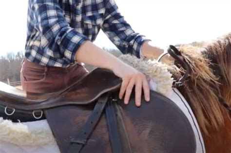 How To Mount And Dismount A Horse Step By Step Guide