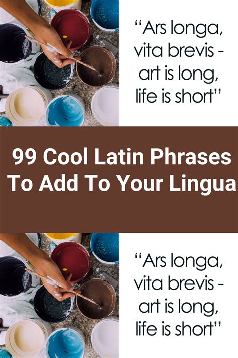 99 Cool Latin Words And Phrases To Add To Your Lingua Artofit