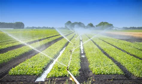 Irrigation In Australia The Complete Picture Orchard Tech