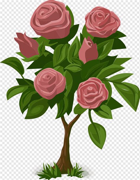 Animasi Bunga Mawar Tanaman Semak Semak Cinta Merangkai Bunga