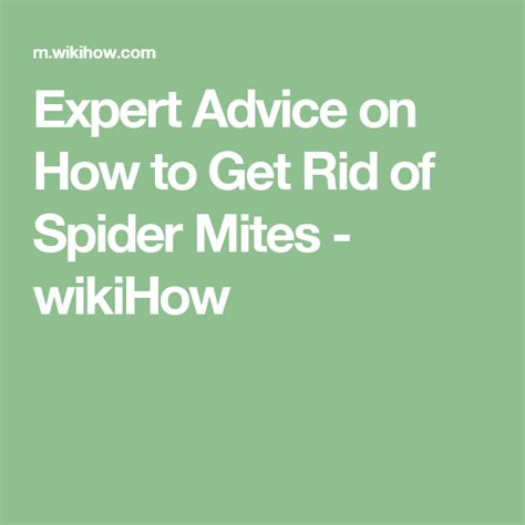 Where infestations are minor, it is often not worth it to spray. Get Rid of Spider Mites | Lemon seeds, How to grow lemon ...
