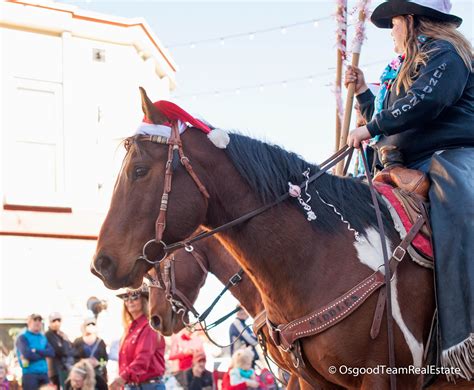 Christmas Carriage Parade Parades Parker Colorado Horse Drawn