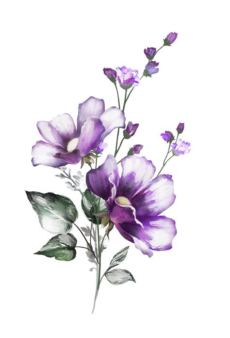 Find & download free graphic resources for watercolor flowers. H927 (16) | Watercolor flowers, Watercolor flowers ...