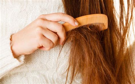 Common Hair Problems And Their Treatments Vedix