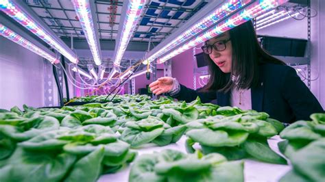 Growing Up Welcome To Vertical Farming Asu Now Access Excellence