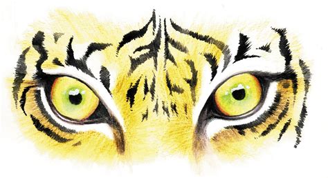 Tiger Eyes By Sinccolor On Deviantart