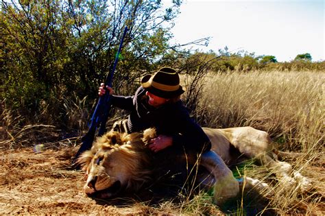African Lion Hunting Safari Packages South Africa With Mkulu Safaris
