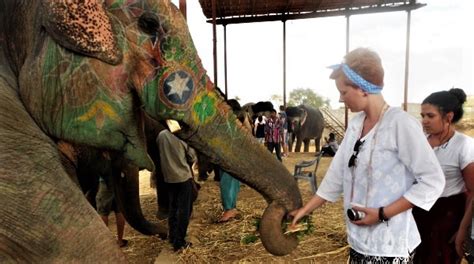 Volunteer With Elephant Volunteering For Elephant In India