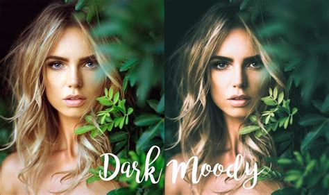 These presets focuses on moody tones, thunder blues and a beautiful tan skin. Free Dark Moody Preset | Photoshop tips, Photography tips ...