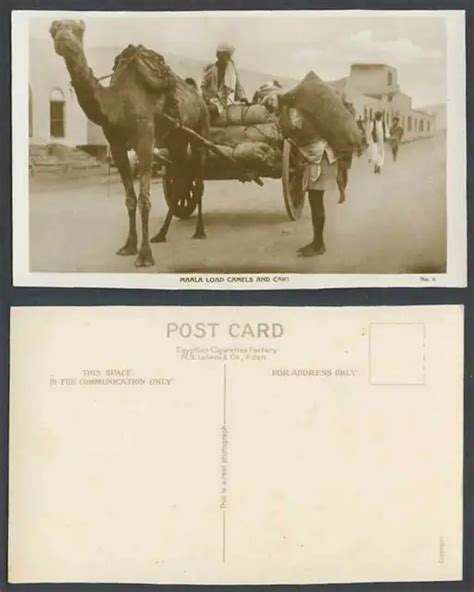 Aden Yemen Old Real Photo Postcard Maala Load Camels Cart Coolie Street