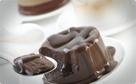 Selamat datang di situs ini. Cara Membuat Puding Coklat Nikmat dan Mudah - Cara Membuat