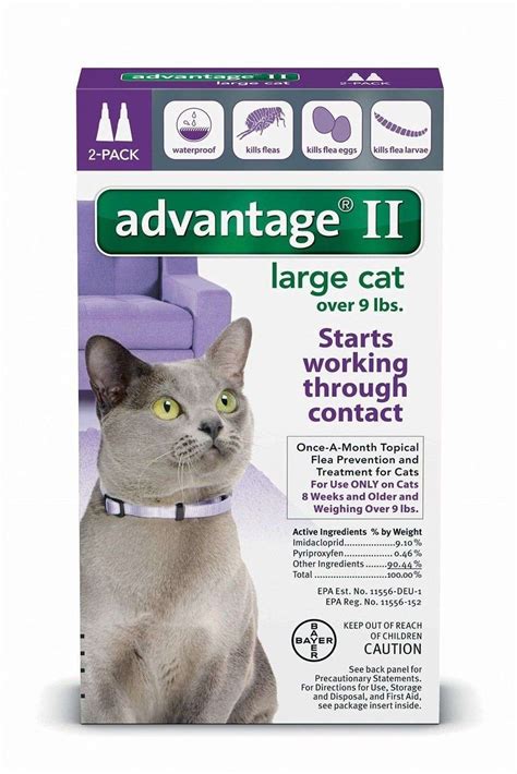 Feeding a diet that includes wet food can help to maintain weight and overall health. Advantage Ii Flea Control Large Cat (For Cats Over 9 Lbs ...