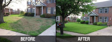 Purelawn Photo Gallery Cincinnati And Dayton Organic Lawn Care Service